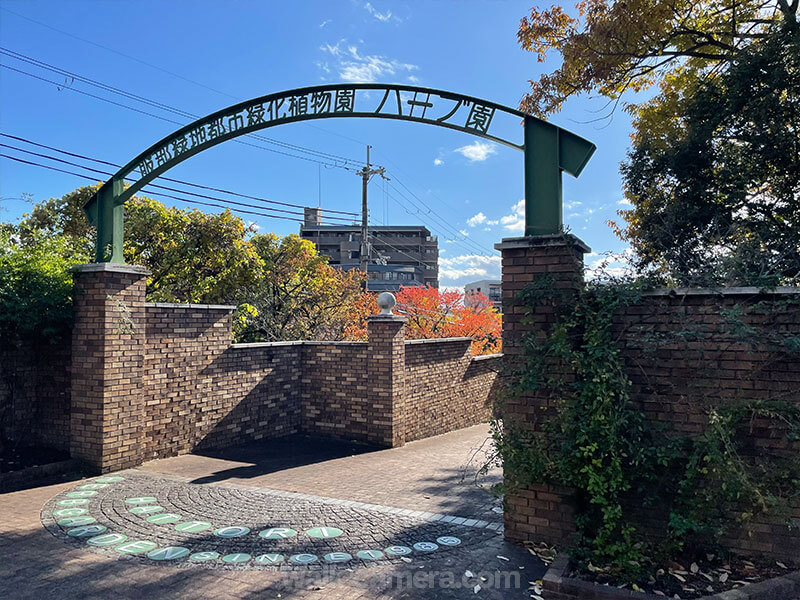 服部緑地都市緑化植物園 ハーブ園 見どころ