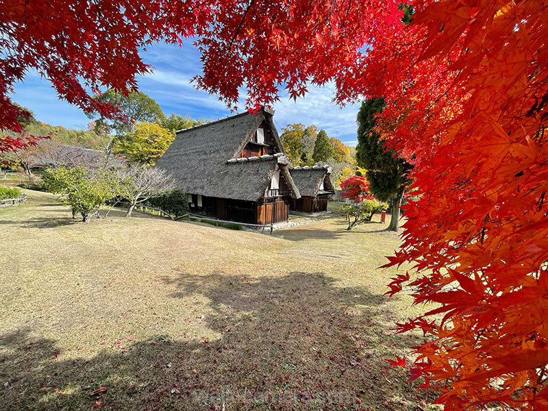 日本民家集落博物館 紅葉 見どころ