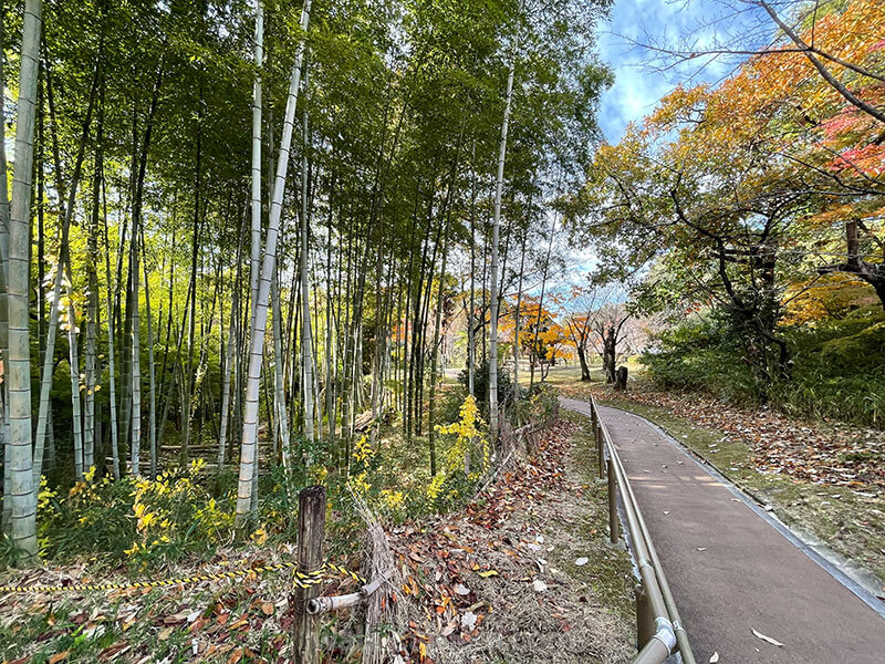 日本民家集落博物館 自然 季節の草花