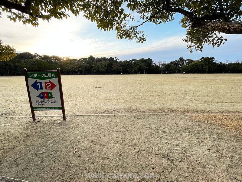 服部緑地 スポーツ広場