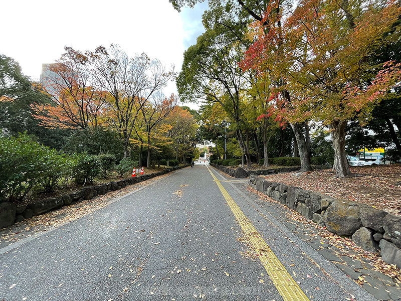 服部緑地 緑道