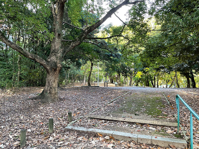 服部緑地 野鳥観察 見どころ