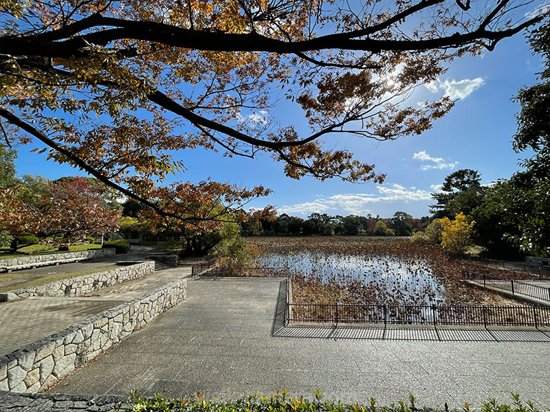 服部緑地を観光する所要時間（滞在時間）の目安