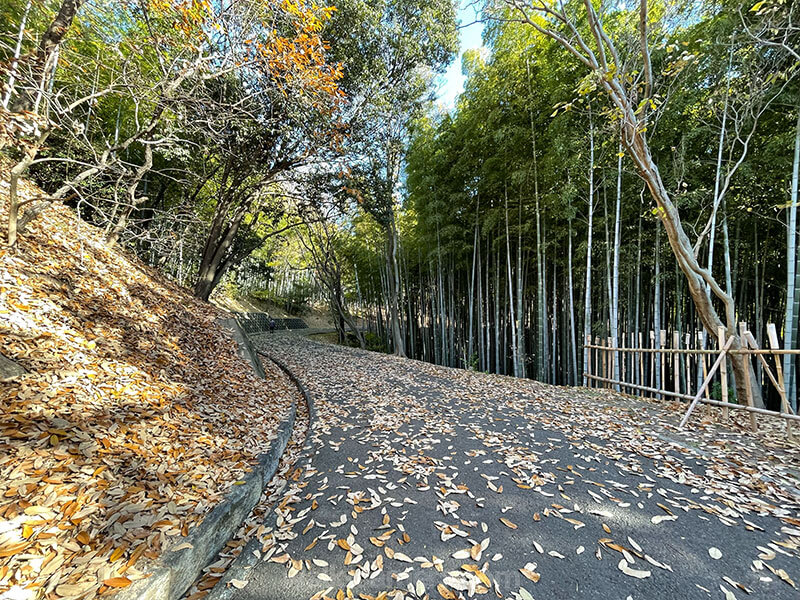 服部緑地 いなり山 遊歩道