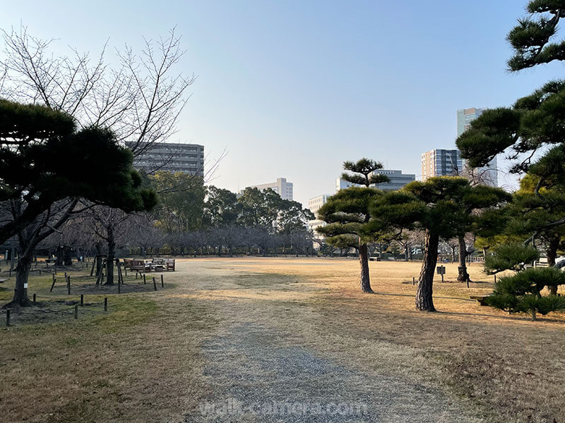 高松城（玉藻公園） 桜の馬場