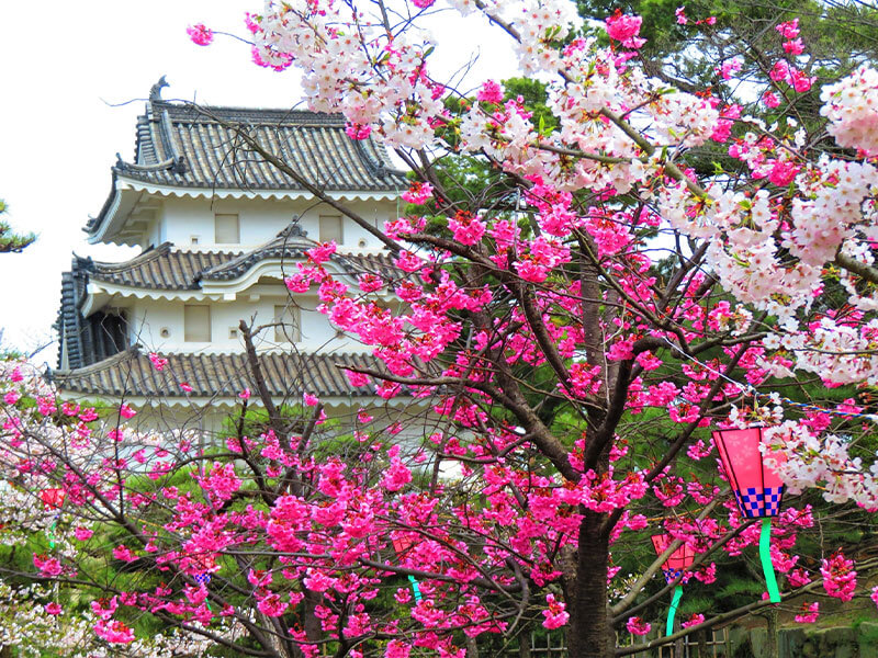 高松城（玉藻公園）桜の名所