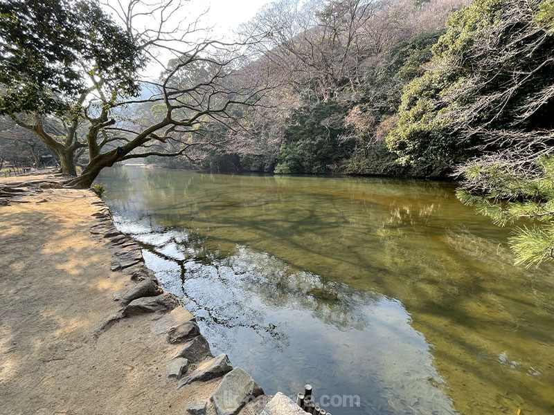 栗林公園 西湖