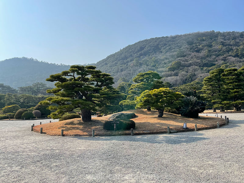 栗林公園 鶴亀松