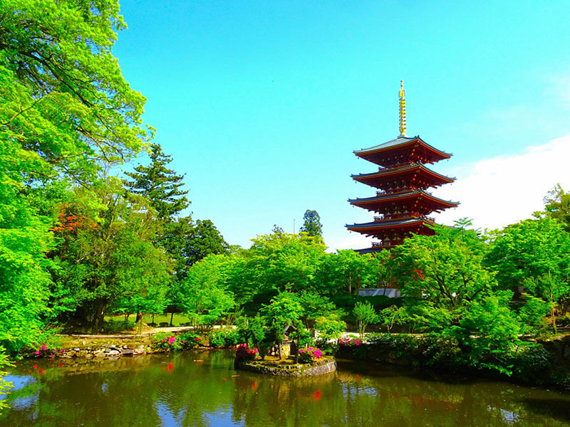 成相寺 季節毎の見どころ