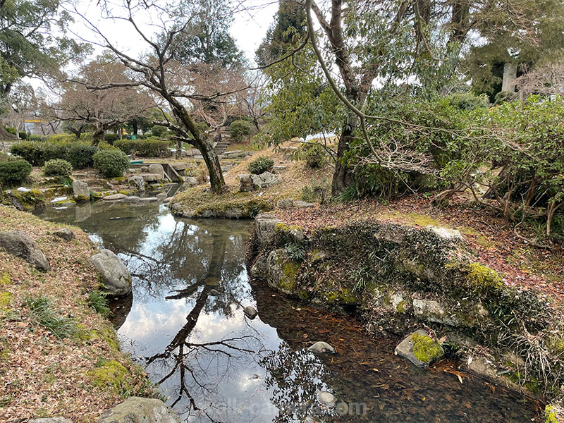 田辺城跡心種園の見どころ