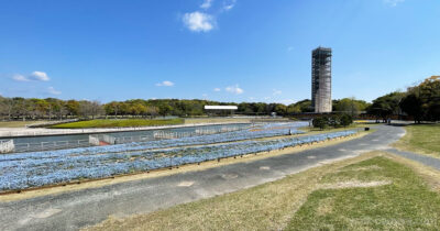 浜名湖ガーデンパーク 浜松駅から バス 行き方 所要時間