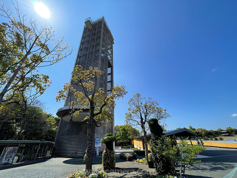 浜名湖ガーデンパーク 展望塔 見どころ