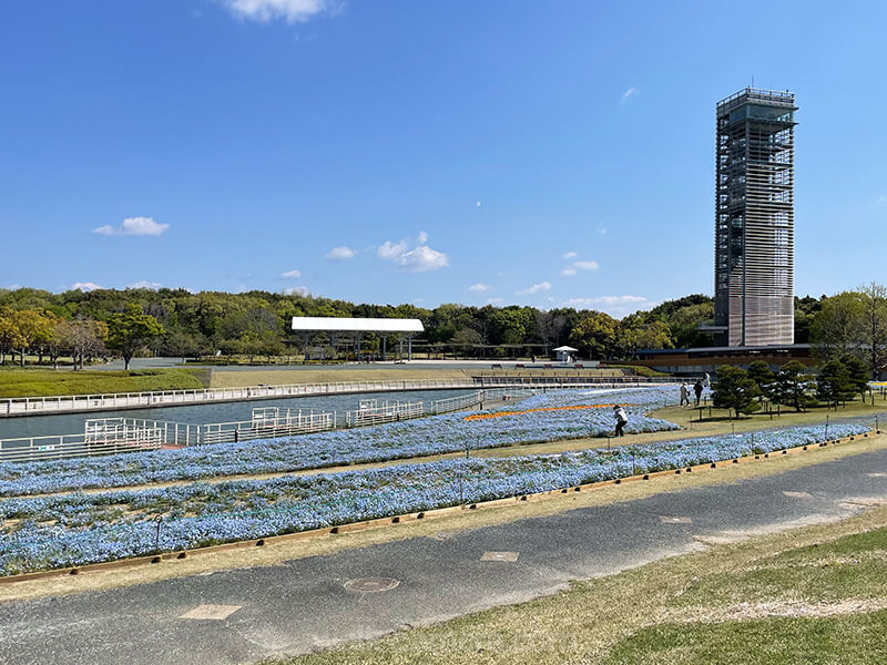 浜名湖ガーデンパーク 花ひろば 見どころ