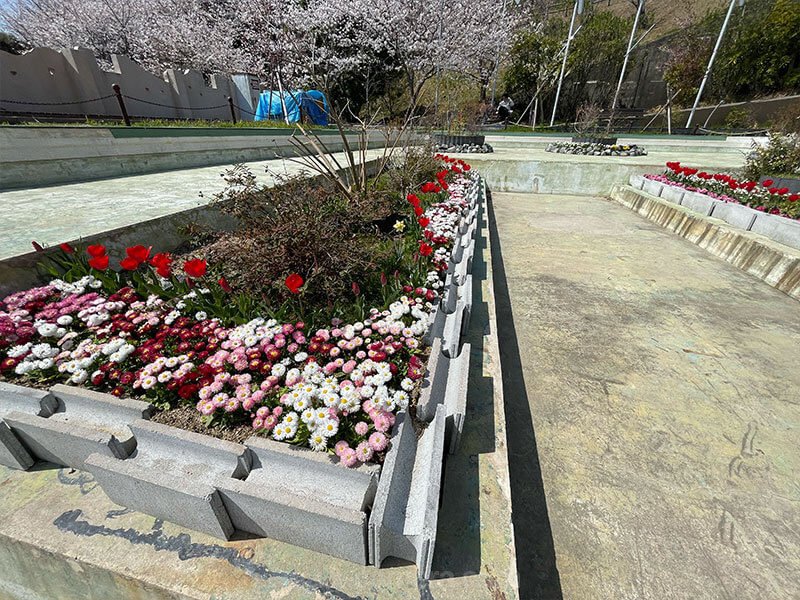 須磨浦山上遊園 季節の植物
