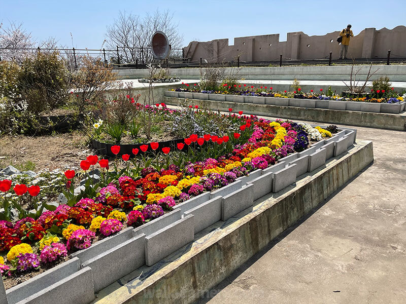 須磨浦山上遊園 花の広場 花壇