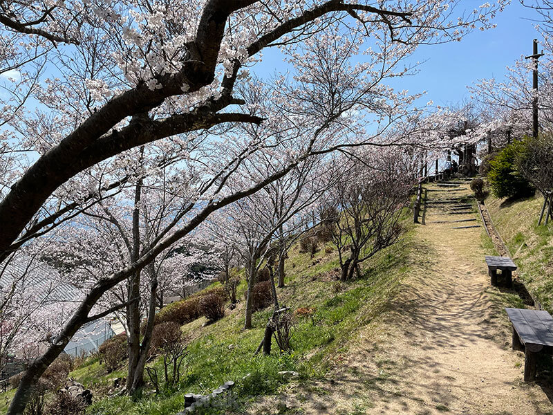 須磨浦山上遊園 花の広場