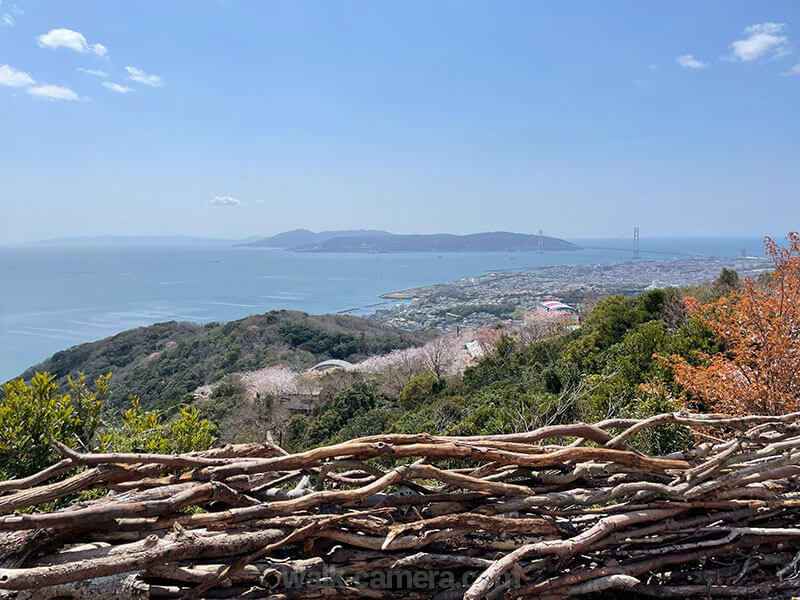 旗振山からの景色