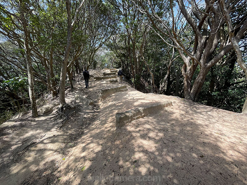 須磨浦山上遊園 ハイキングコースの見どころ