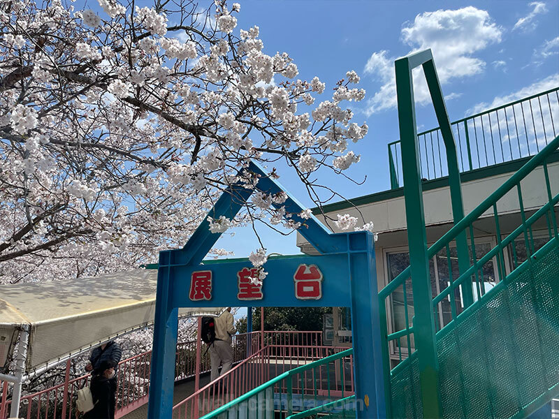 須磨浦山上遊園 東部展望台 見どころ