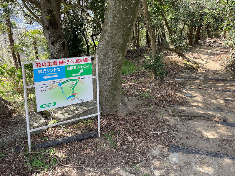 須磨浦山上遊園 旗振山 ハイキングコースと観光リフトの分かれ道