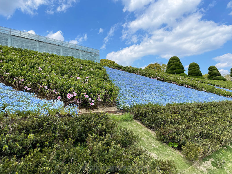 浜松フラワーパーク 噴水池 花壇