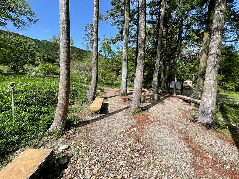 葦毛湿原 ベンチ
