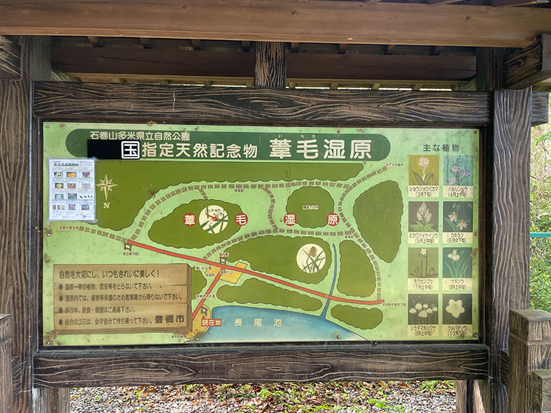 葦毛湿原の見どころや楽しみ方について