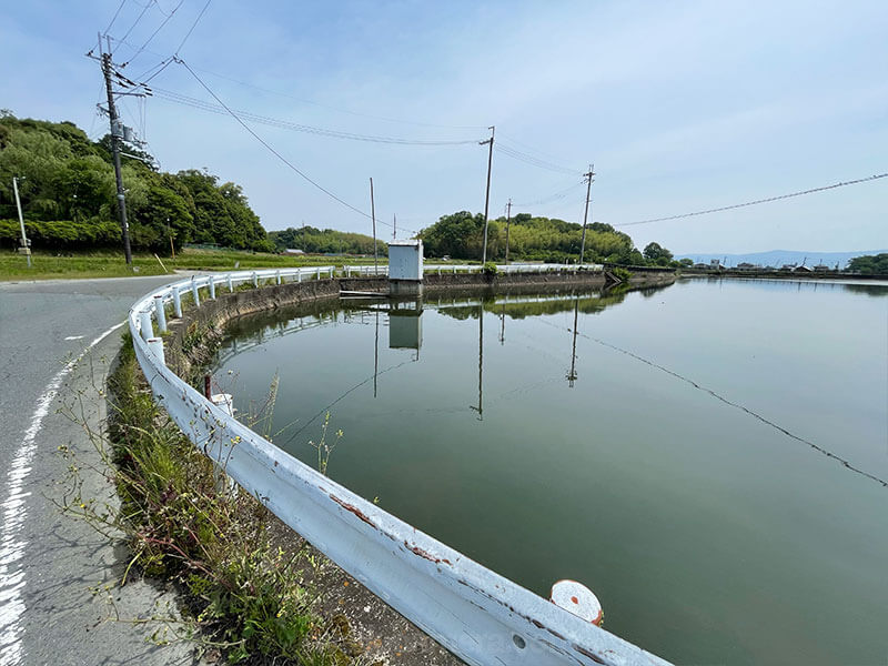 奈良 法隆寺 片野池