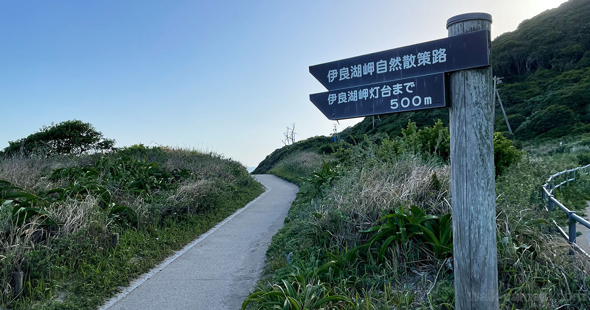 伊良湖岬自然散策路 遊歩道 恋路ヶ浜 一周 散策