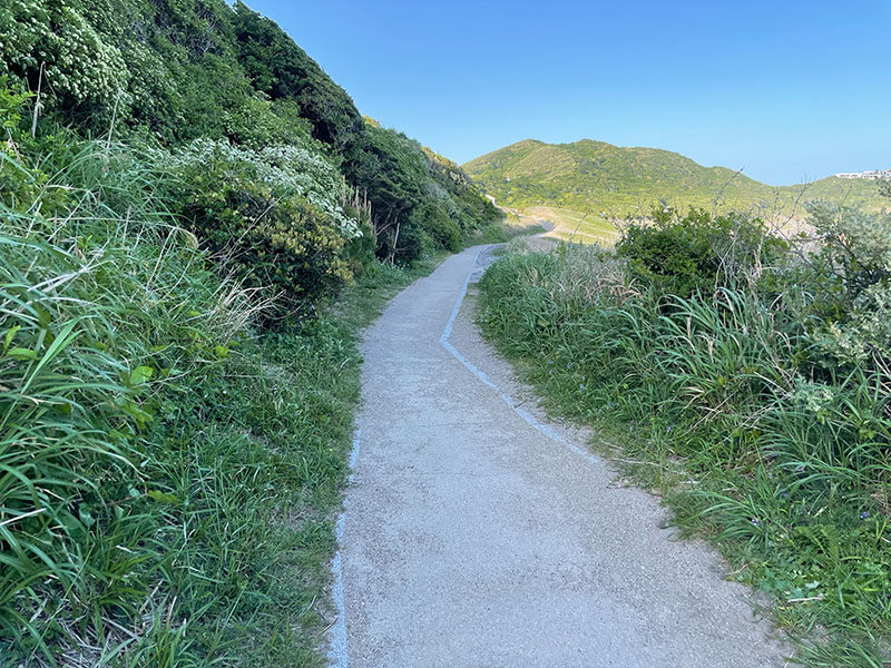 伊良湖岬自然散策路