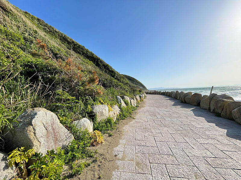 伊良湖岬遊歩道