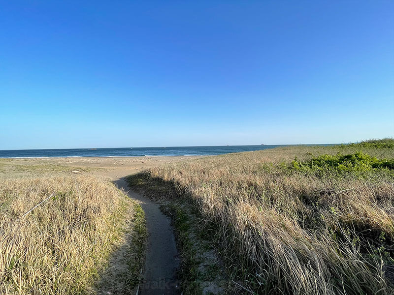 伊良湖岬自然散策路と砂浜