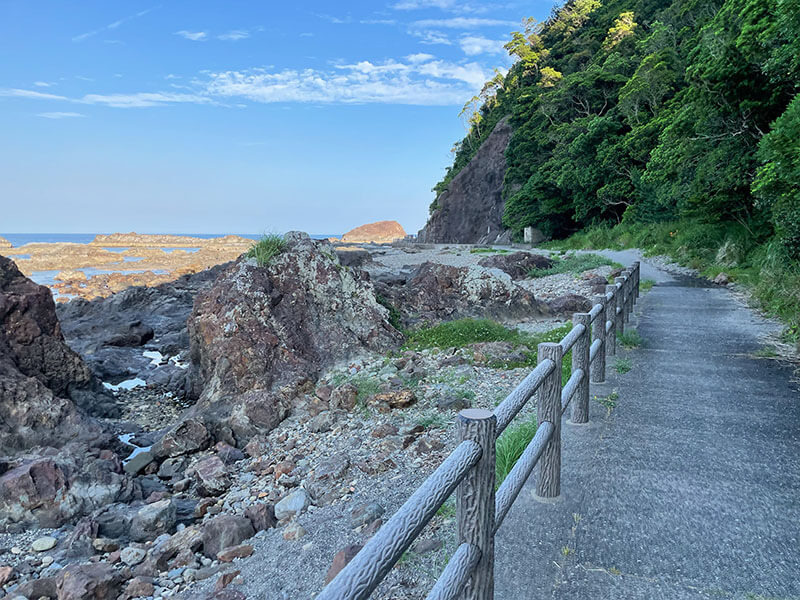 紀伊勝浦 弁天島近くの遊歩道