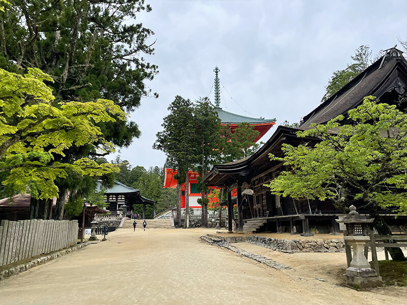 壇上伽藍に到着