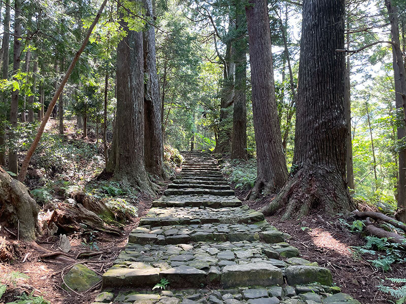 熊野那智大社 大門坂の見どころ