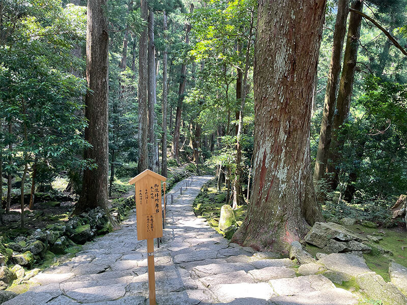 那智の滝（飛瀧神社）石段