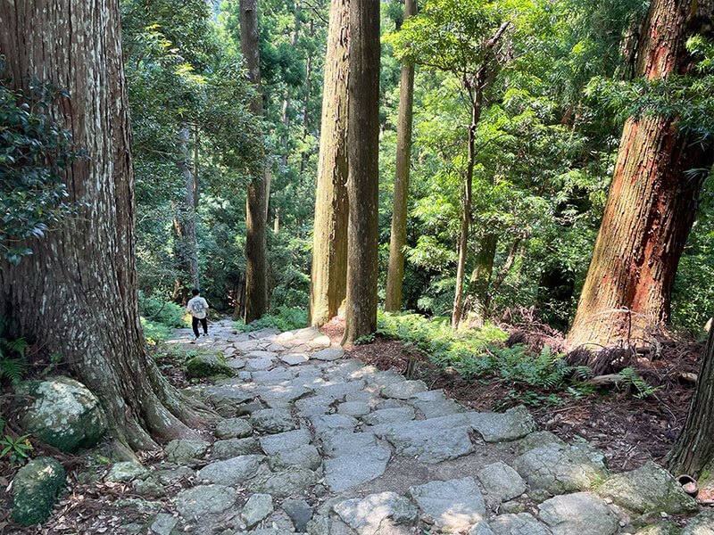 青岸渡寺の三重塔から那智の滝（飛瀧神社）への道中
