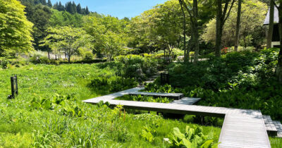 六甲高山植物園 六甲駅から 電車 バス ケーブルカー　行き方 所要時間