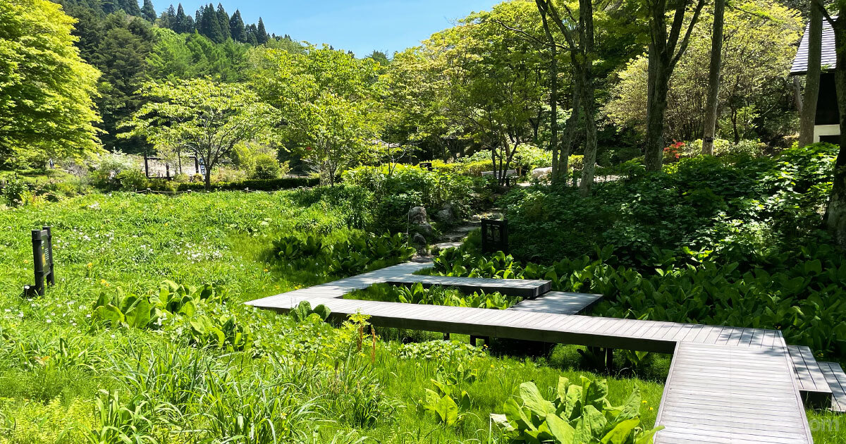 六甲高山植物園 六甲駅から 電車 バス ケーブルカー　行き方 所要時間