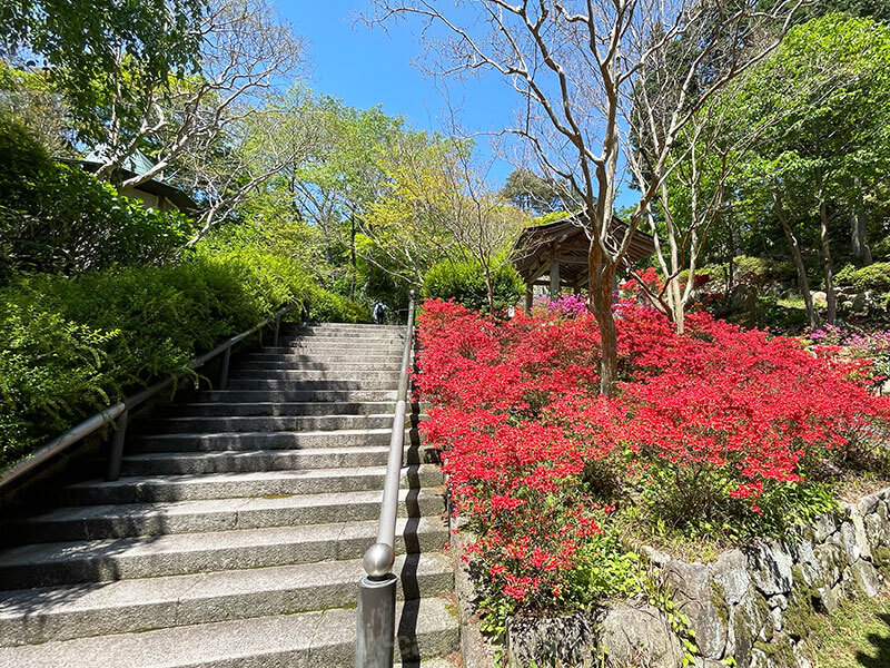 摩耶山天上寺 自然