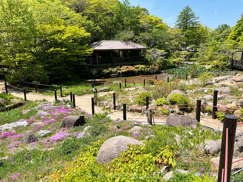 六甲高山植物園への電車・バスでのアクセス方法・見どころ・所要時間のまとめ