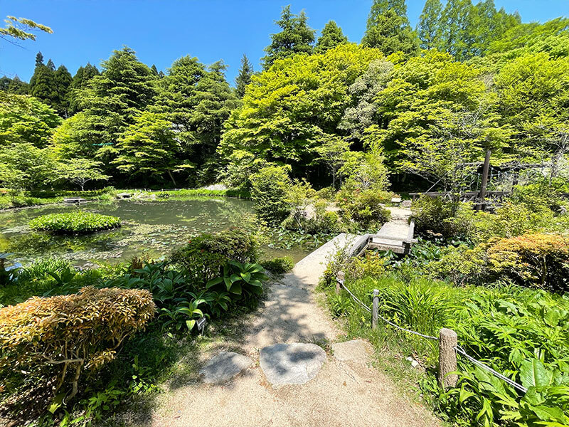 六甲高山植物園 自然