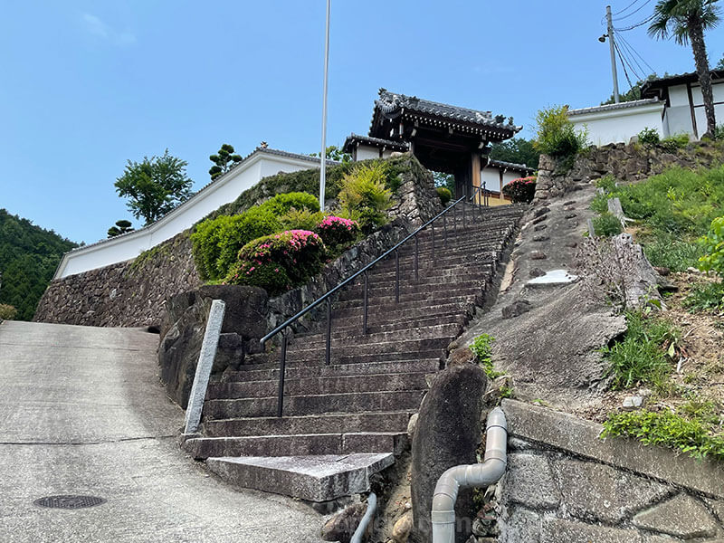 高槻 浄圓寺