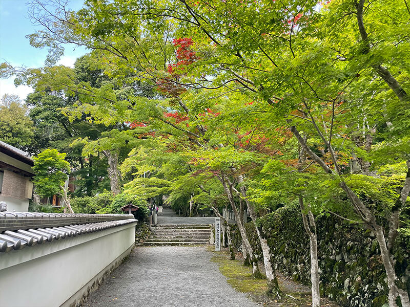 神峯山寺 新緑