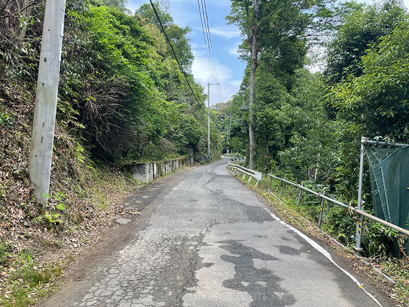 神峯山寺の参道 自然