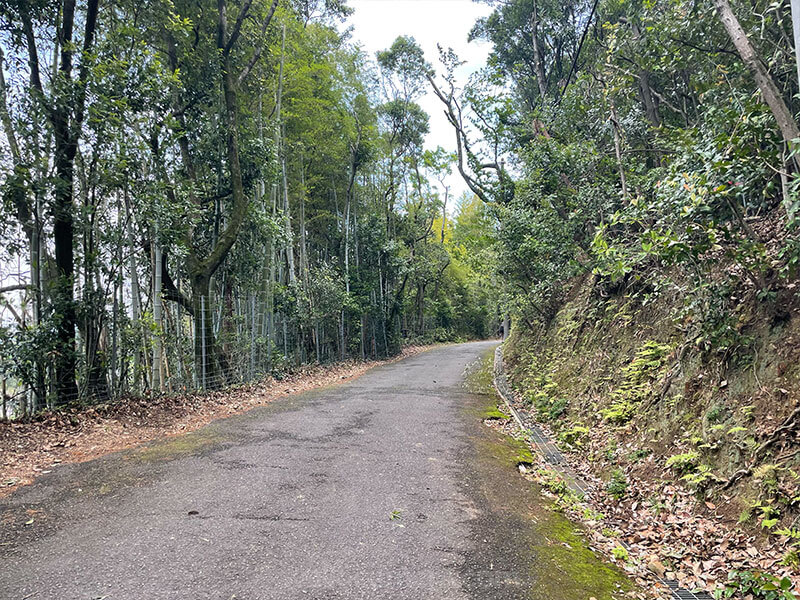 牛地蔵から神峯山寺の勧請掛けへの道のり