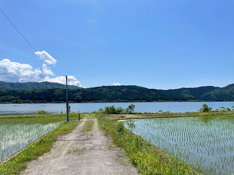 余呉湖の遊歩道