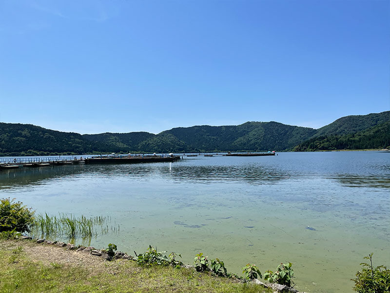 余呉湖 ワカサギ釣り