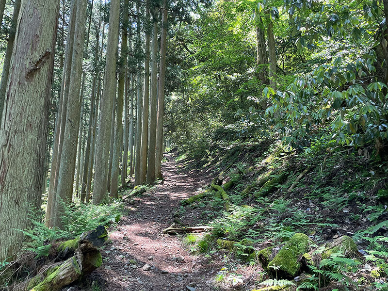 賤ヶ岳登山道の道のり2