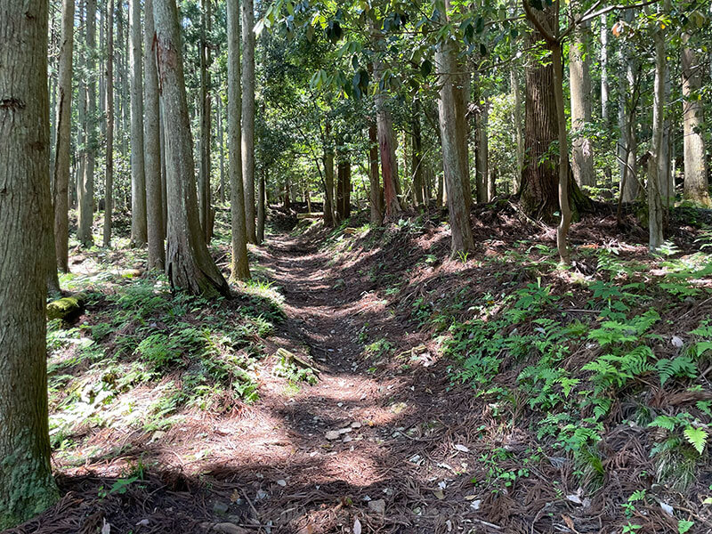 賤ヶ岳登山道の道のり1